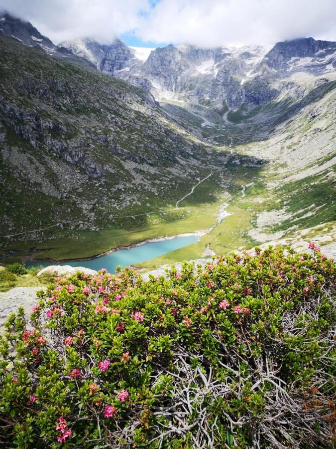 Hotel Rifugio Stella Alpina Saviore dell'Adamello Zewnętrze zdjęcie