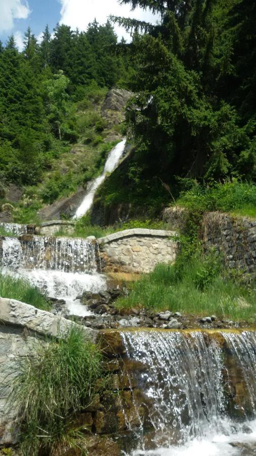 Hotel Rifugio Stella Alpina Saviore dell'Adamello Zewnętrze zdjęcie
