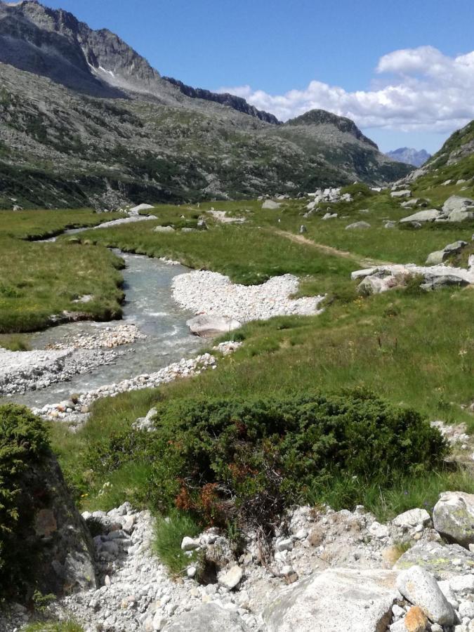 Hotel Rifugio Stella Alpina Saviore dell'Adamello Zewnętrze zdjęcie